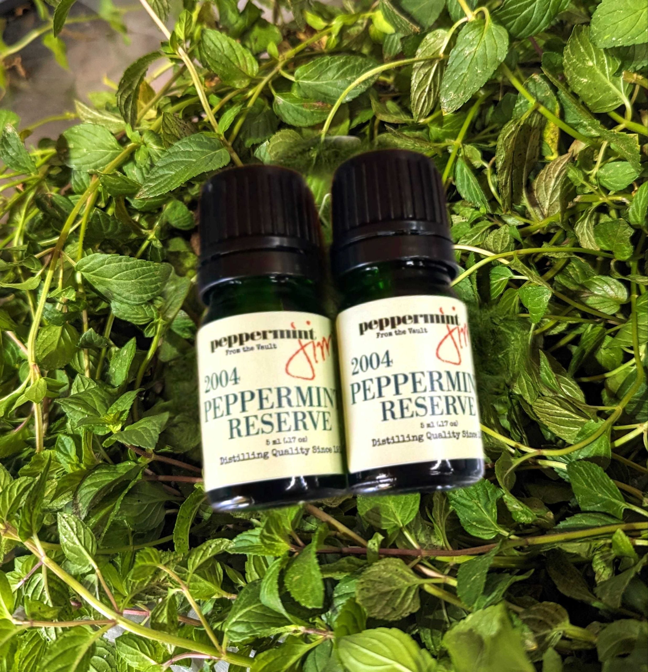Limited Reserve Peppermint Oil