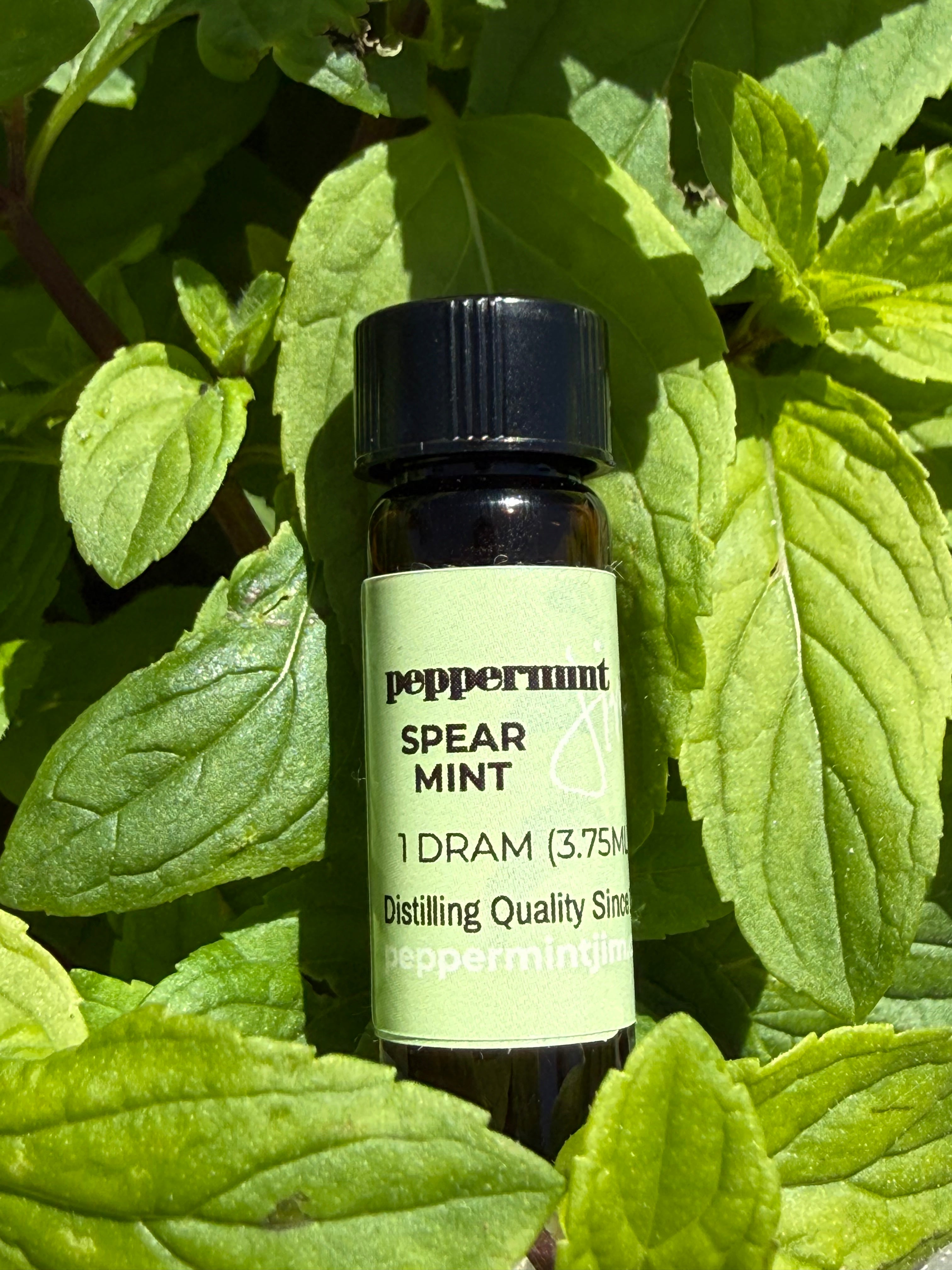 Peppermint & Spearmint – Dram Dropper Bottle