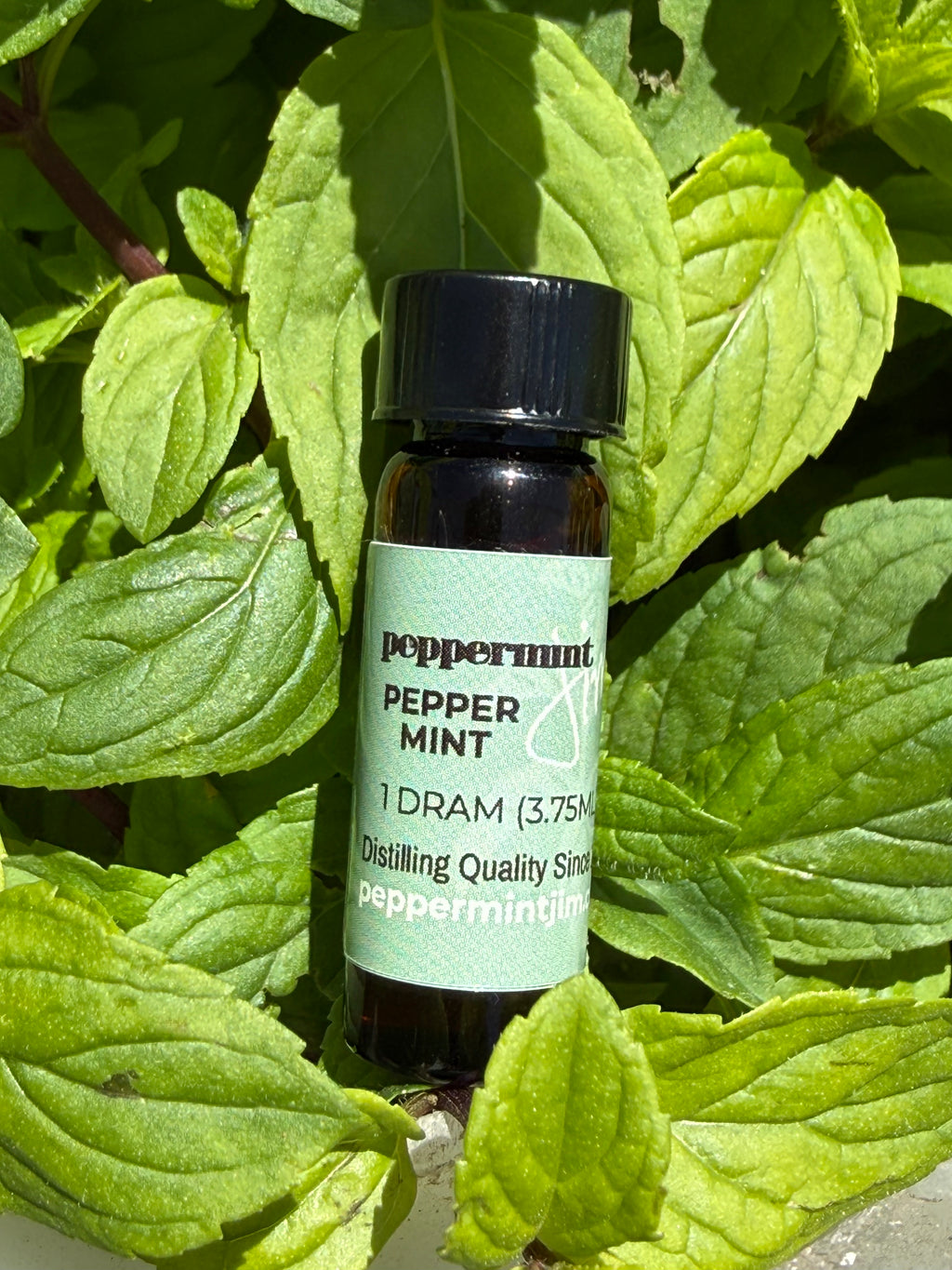 Peppermint & Spearmint – Dram Dropper Bottle