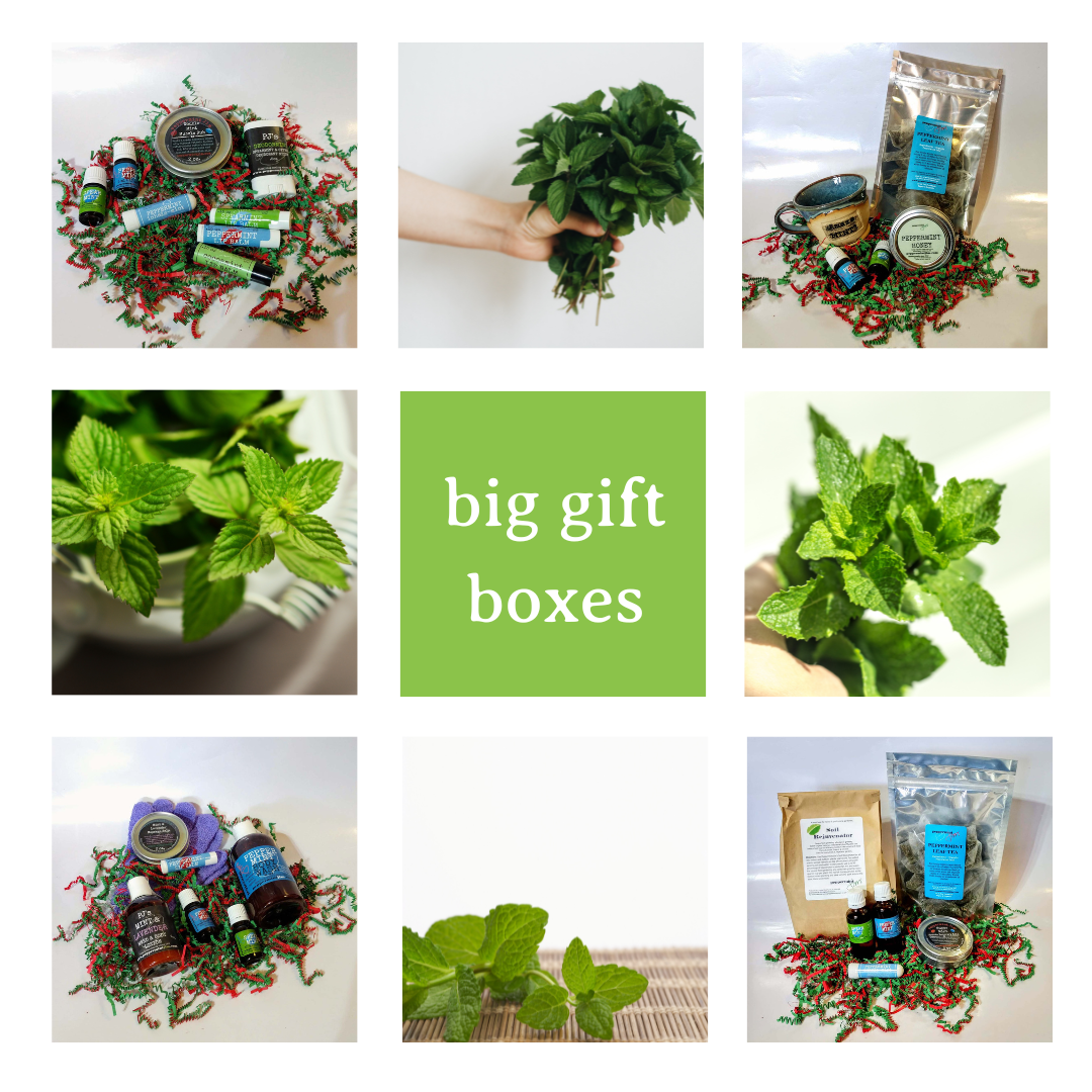 Gift Boxes