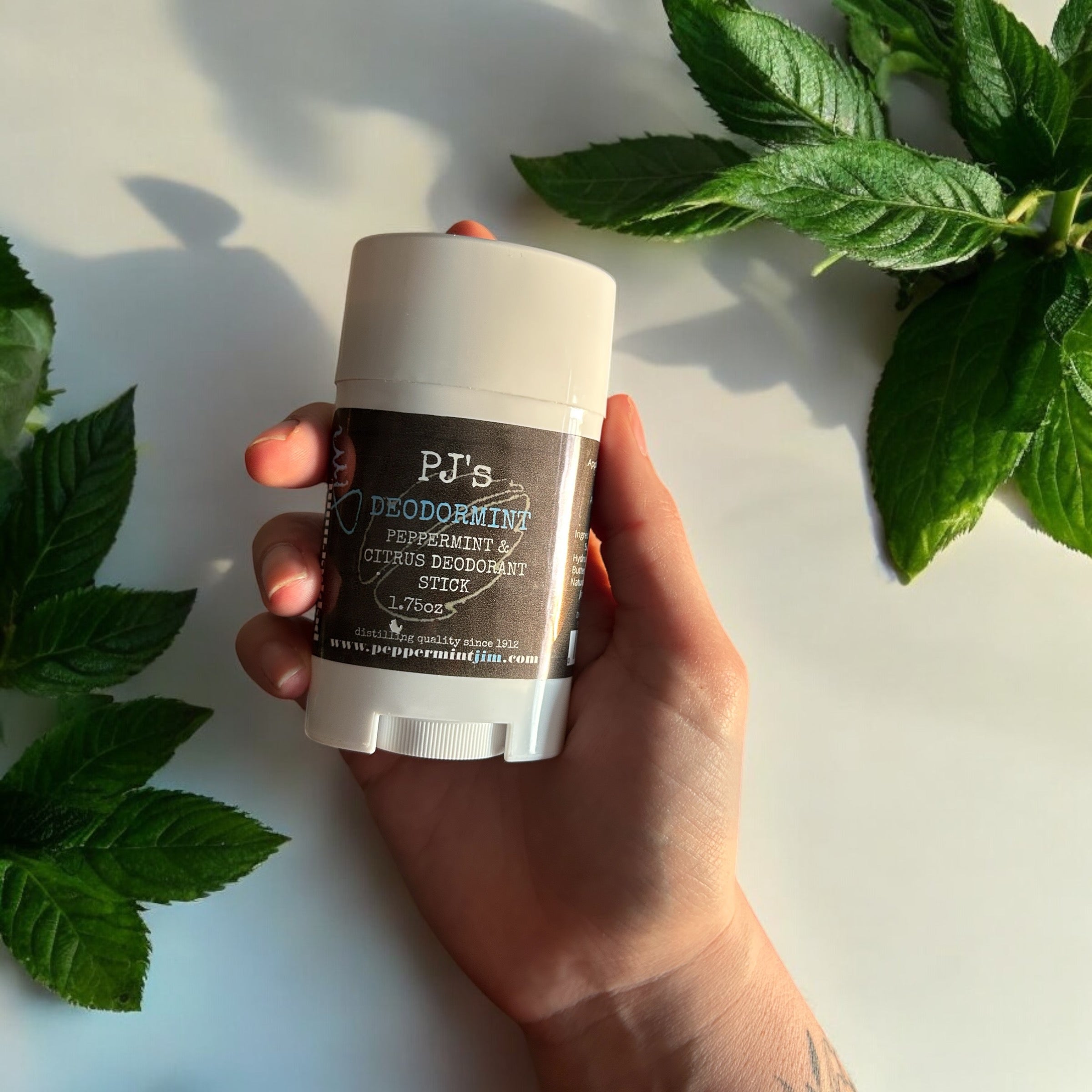 Peppermint & Citrus Deodermint