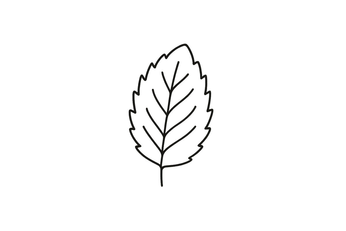 icon of a peppermint leaf, thin black lines